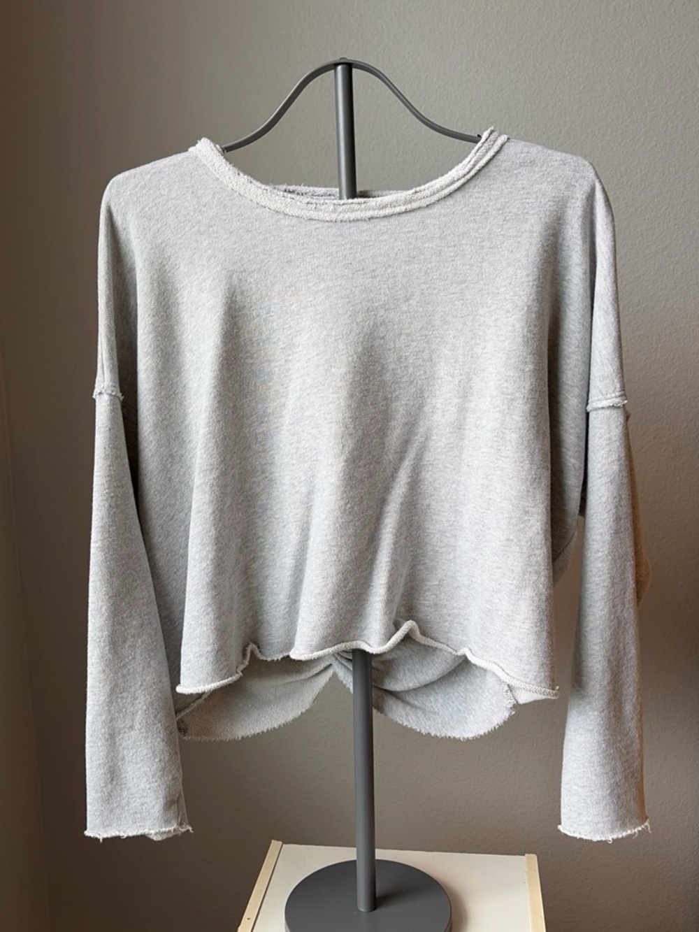 aerie Light Gray Raw-Edge Cropped Crewneck Sweatshirt